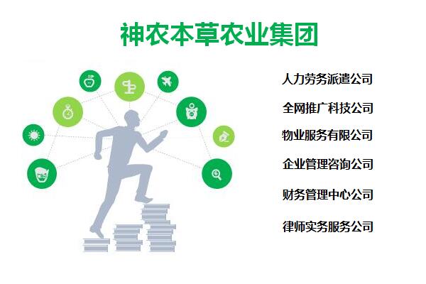 内蒙加盟神农茶社集团代理